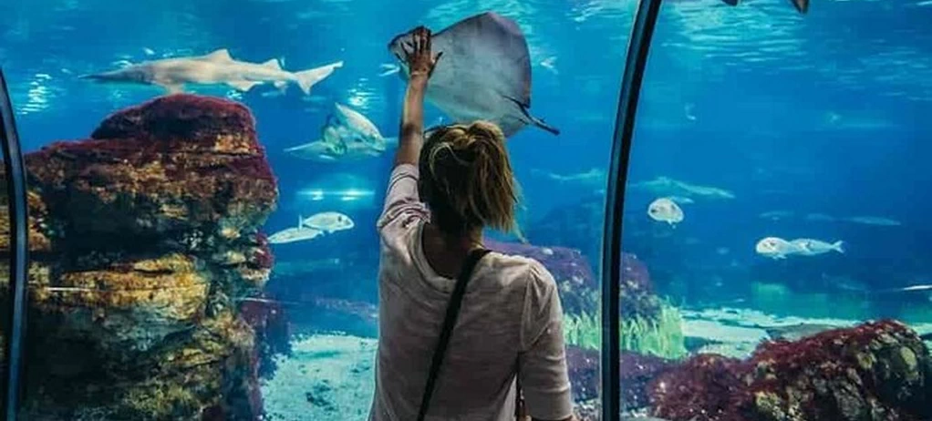 Hurghada Grand Aquarium Tour 